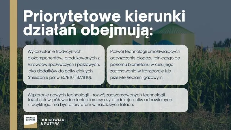 Czy mieszanie benzyny z ropą to dobry pomysł? Oto, co musisz wiedzieć o ryzyku
