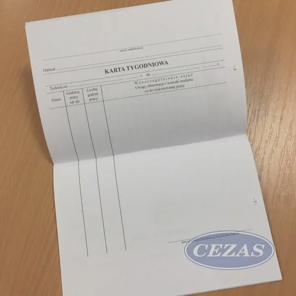 Przebieg praktyk – jak wypełnić dokument poprawnie i bez błędów