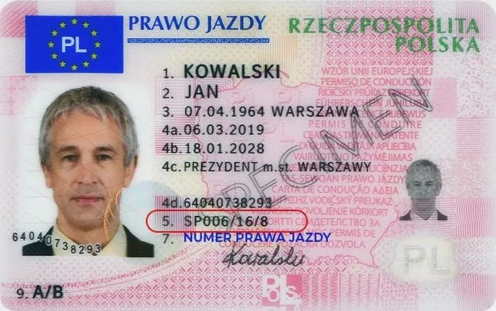 Zgubiłem prawo jazdy? Co zrobić krok po kroku i jak wyrobić wtórnik